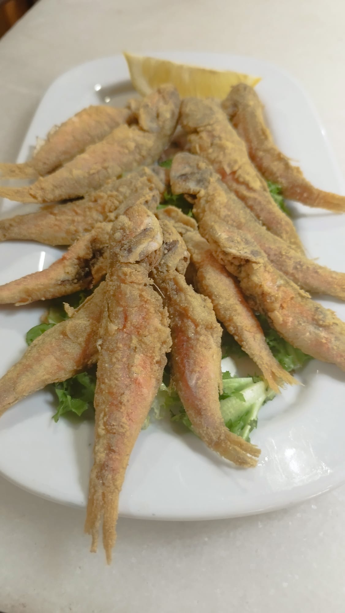 Salmonetes